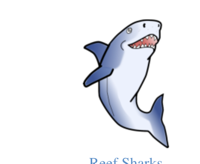 Reef Sharks mascot